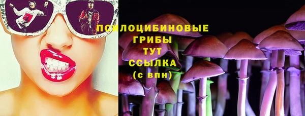экстази Ельня