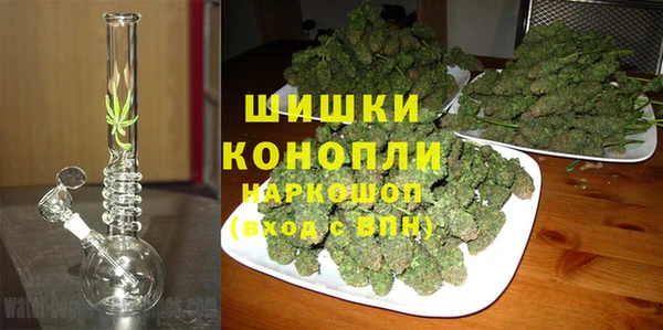 дживик Елабуга