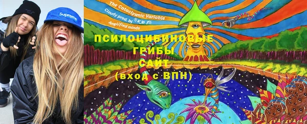 дживик Елабуга