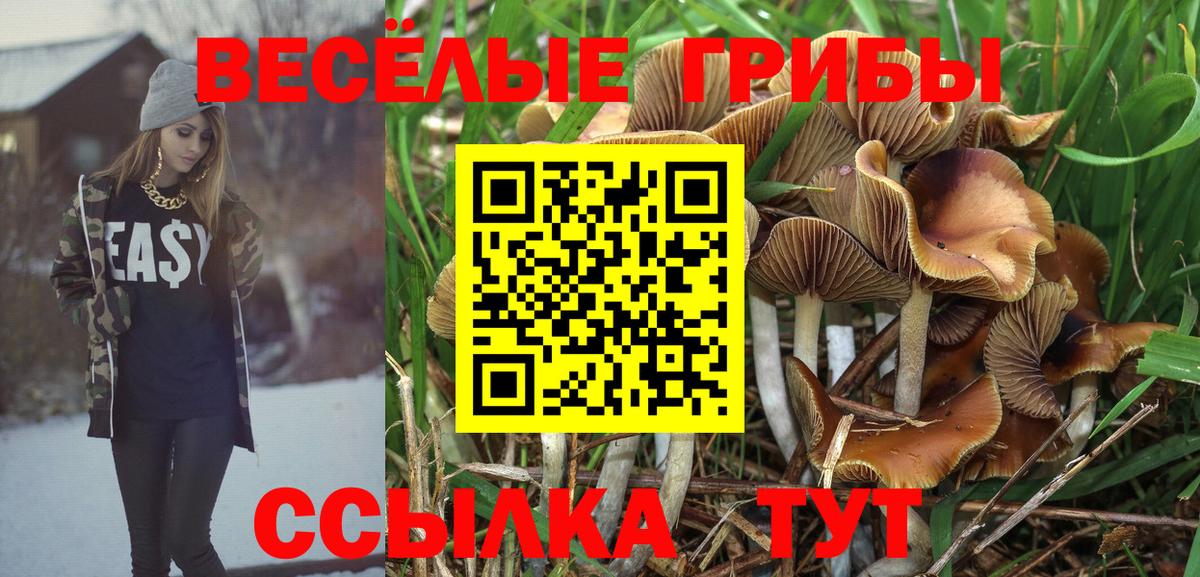 Дюртюли  Галлюциногенные грибы Psilocybe  Вход с VPN  Галлюциногенные грибы MAGIC MUSHROOMS 