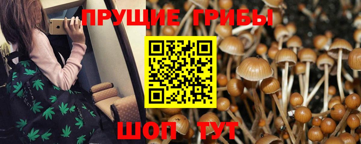 Псилоцибиновые грибы GOLDEN TEACHER Дюртюли